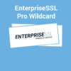Enterprise SSL Pro Wildcard